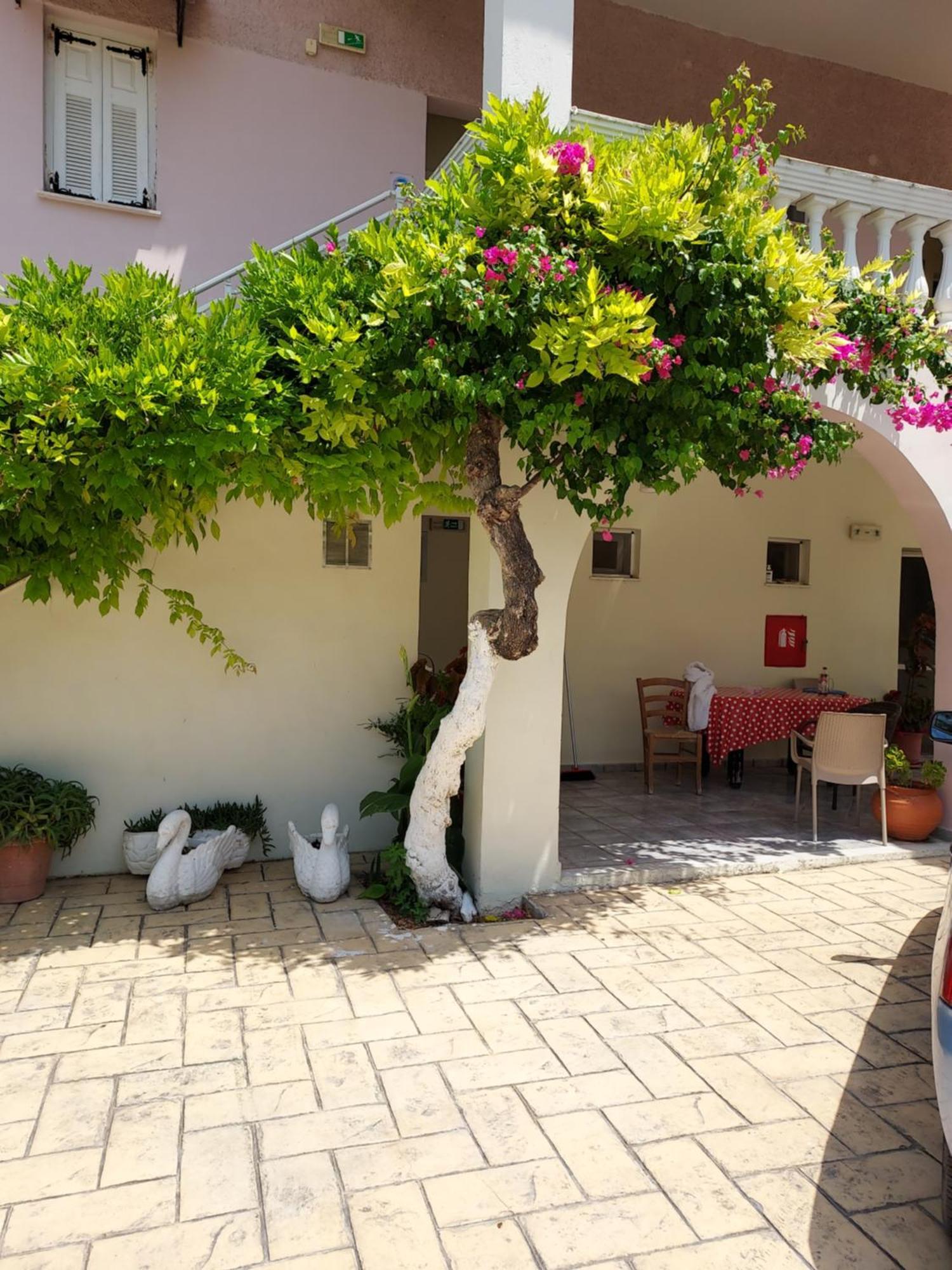 Canditas Studios Tsilivi  Buitenkant foto